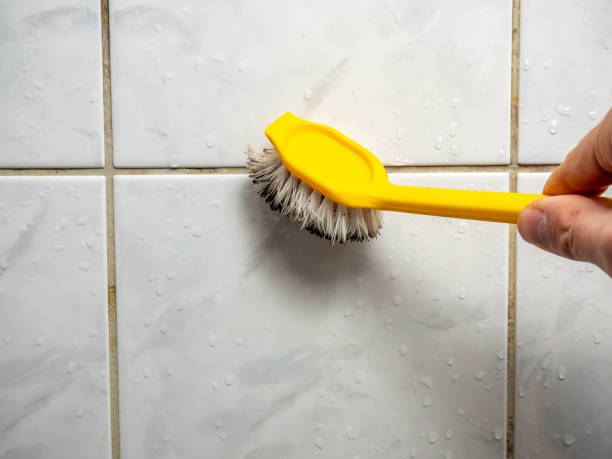 Best Basement Mold Remediation in Landen, OH