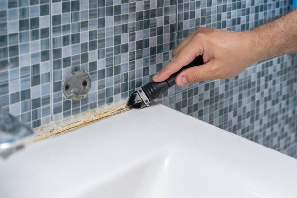 Best Commercial Mold Remediation in Landen, OH