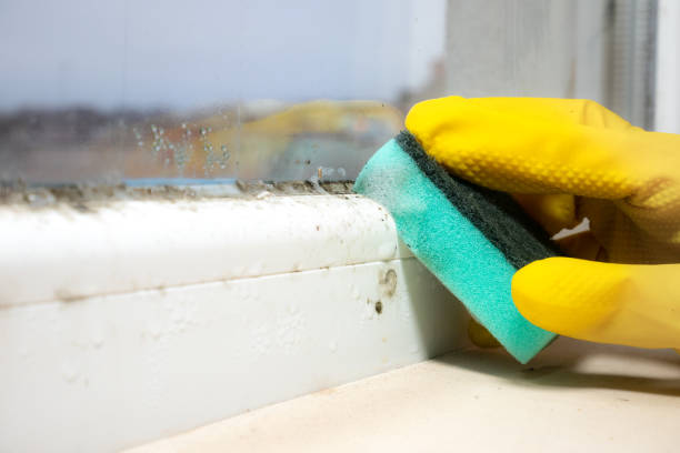 Best HVAC Mold Remediation in Landen, OH